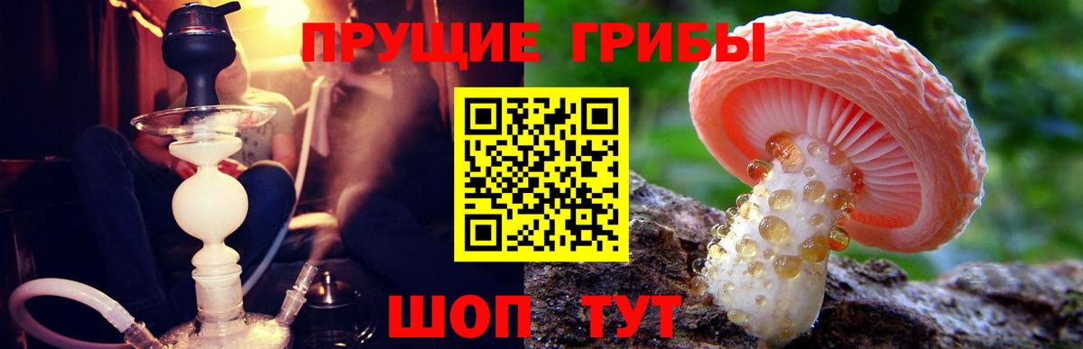 Галлюциногенные грибы прущие грибы Киров